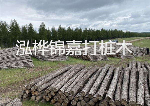 鋼結(jié)構施工方案大全免費提供，助力工程建設
